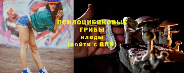 спайс Алексеевка
