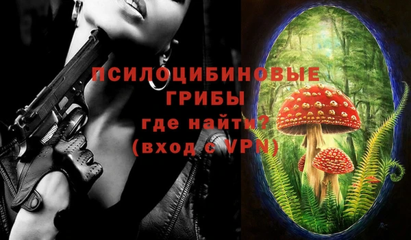 мяу мяу мука Болотное